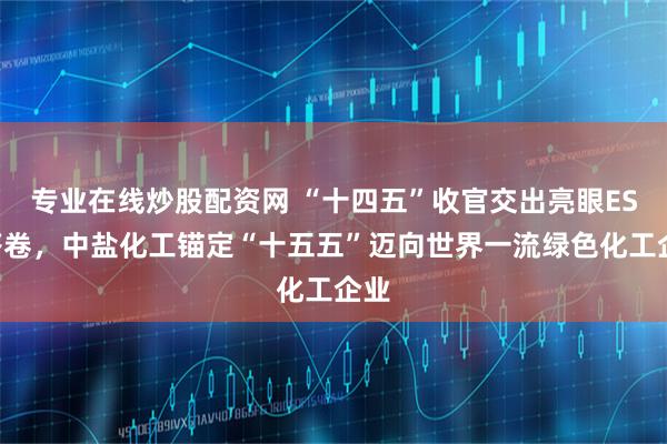 专业在线炒股配资网 “十四五”收官交出亮眼ESG答卷，中盐化工锚定“十五五”迈向世界一流绿色化工企业